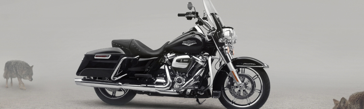 2022 Harley-Davidson® for sale in Adamec Harley-Davidson® of St. Augustine, St. Augustine, Florida